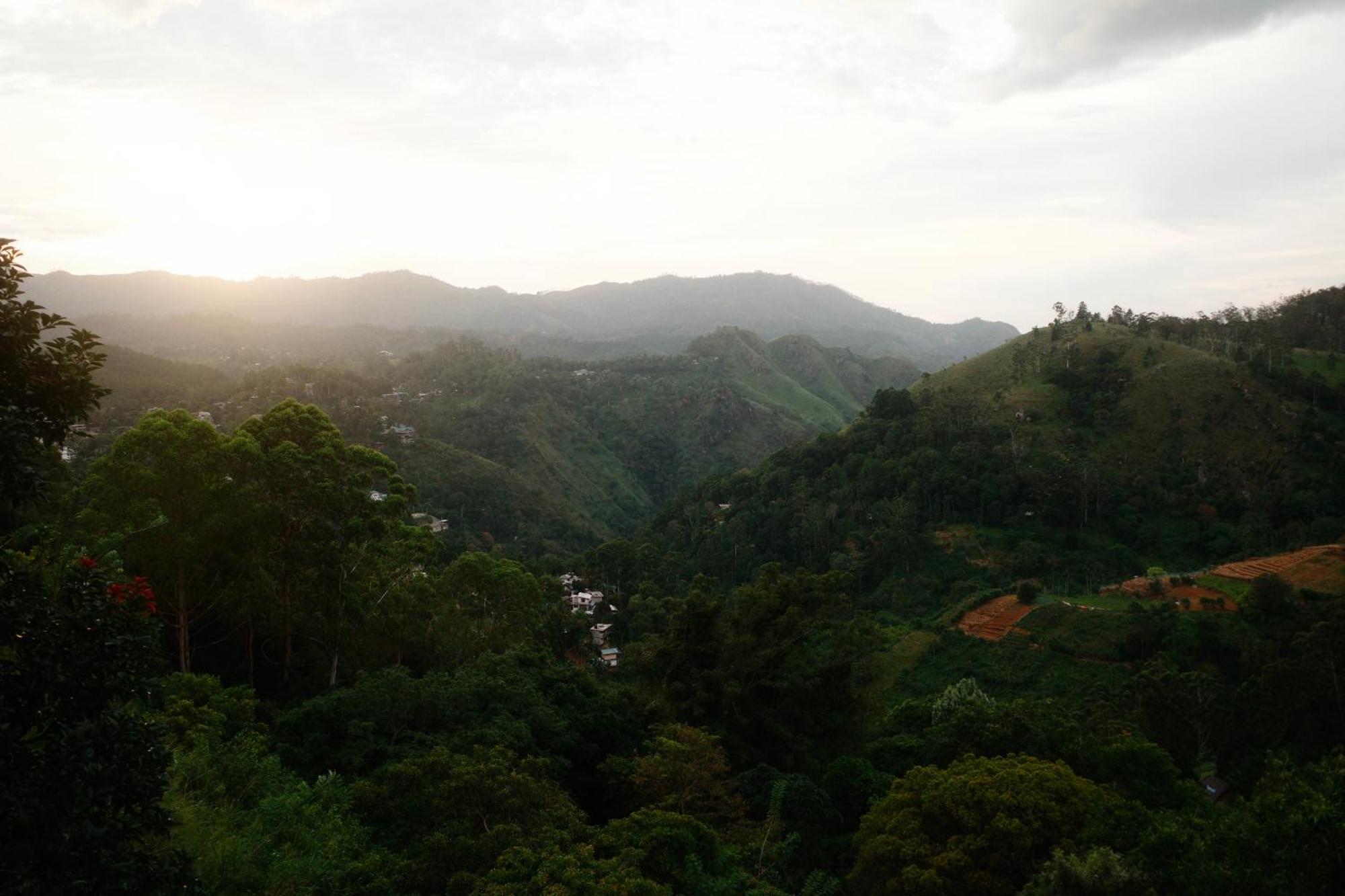 Will Guest Homestay Ella Buitenkant foto